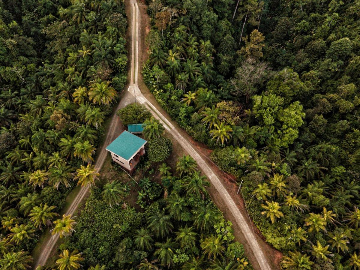 Corcovado Private Villas - Corcovado Private Reserve Puerto Jiménez Exteriér fotografie