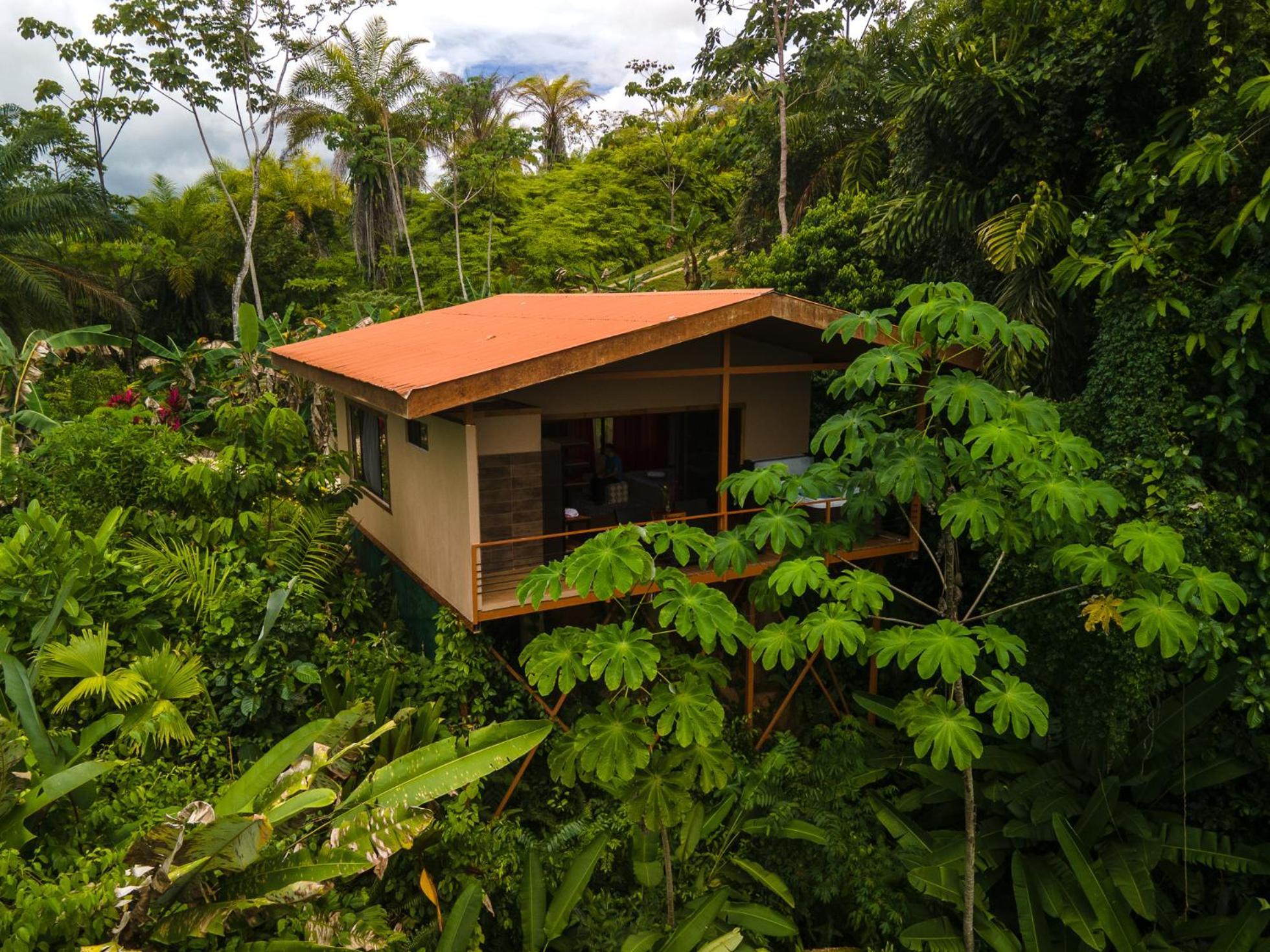 Corcovado Private Villas - Corcovado Private Reserve Puerto Jiménez Exteriér fotografie