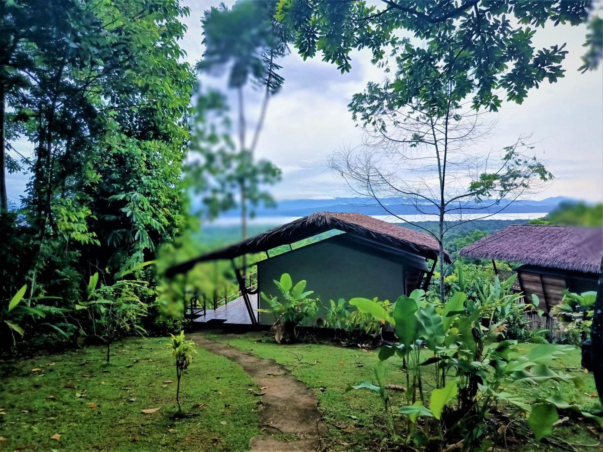 Corcovado Private Villas - Corcovado Private Reserve Puerto Jiménez Exteriér fotografie
