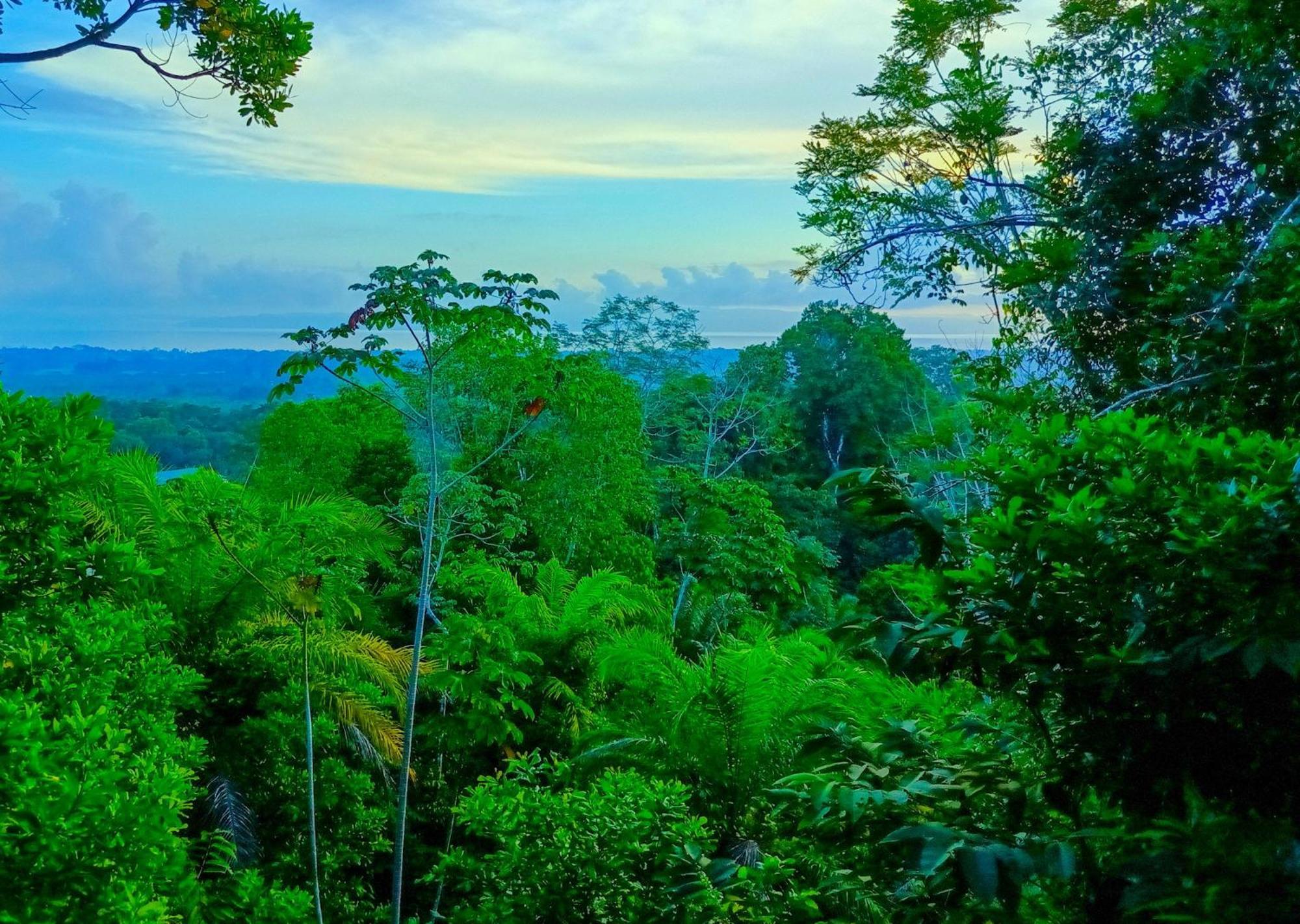 Corcovado Private Villas - Corcovado Private Reserve Puerto Jiménez Exteriér fotografie