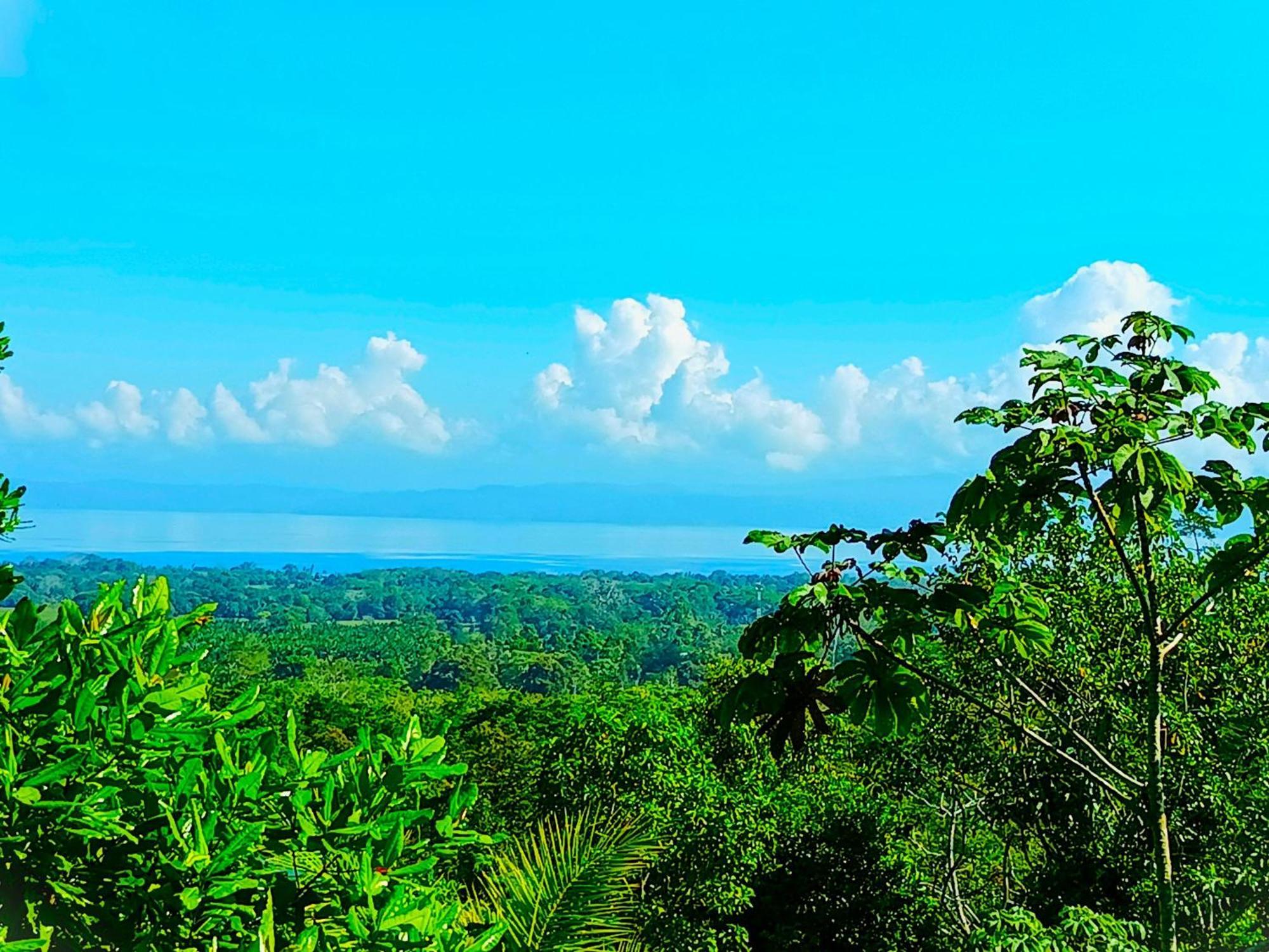 Corcovado Private Villas - Corcovado Private Reserve Puerto Jiménez Exteriér fotografie