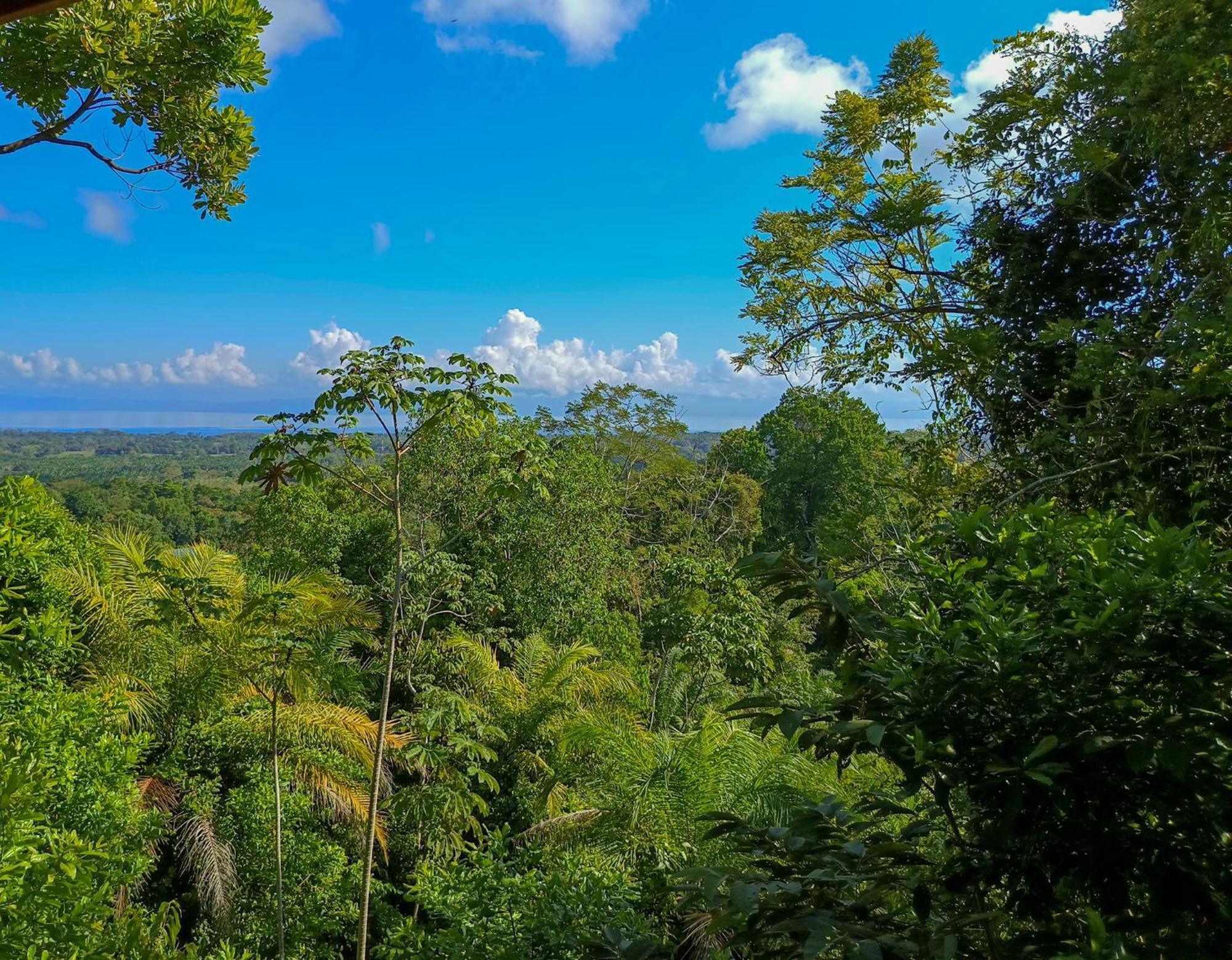 Corcovado Private Villas - Corcovado Private Reserve Puerto Jiménez Exteriér fotografie
